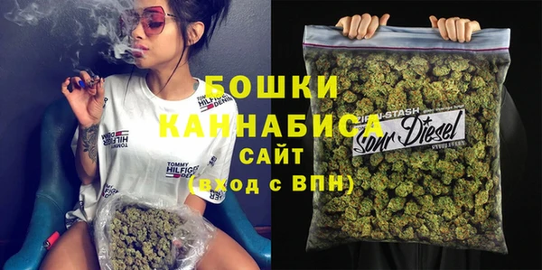 шишки Алексин