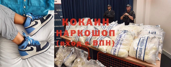 шишки Алексин